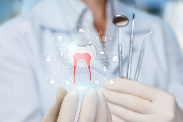 Trusted Midway, UT  Holistic Dental Services Experts